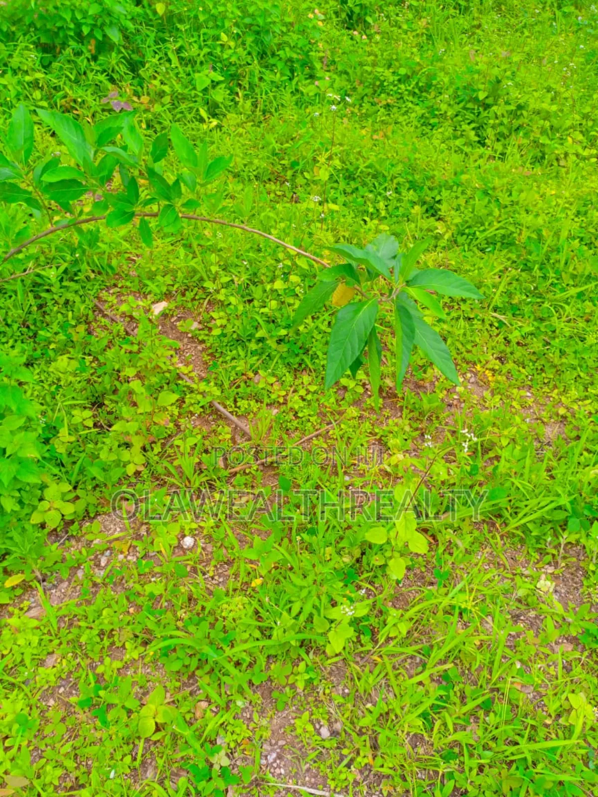 1,983sqm Residential Plot at Asokoro Main in Asokoro