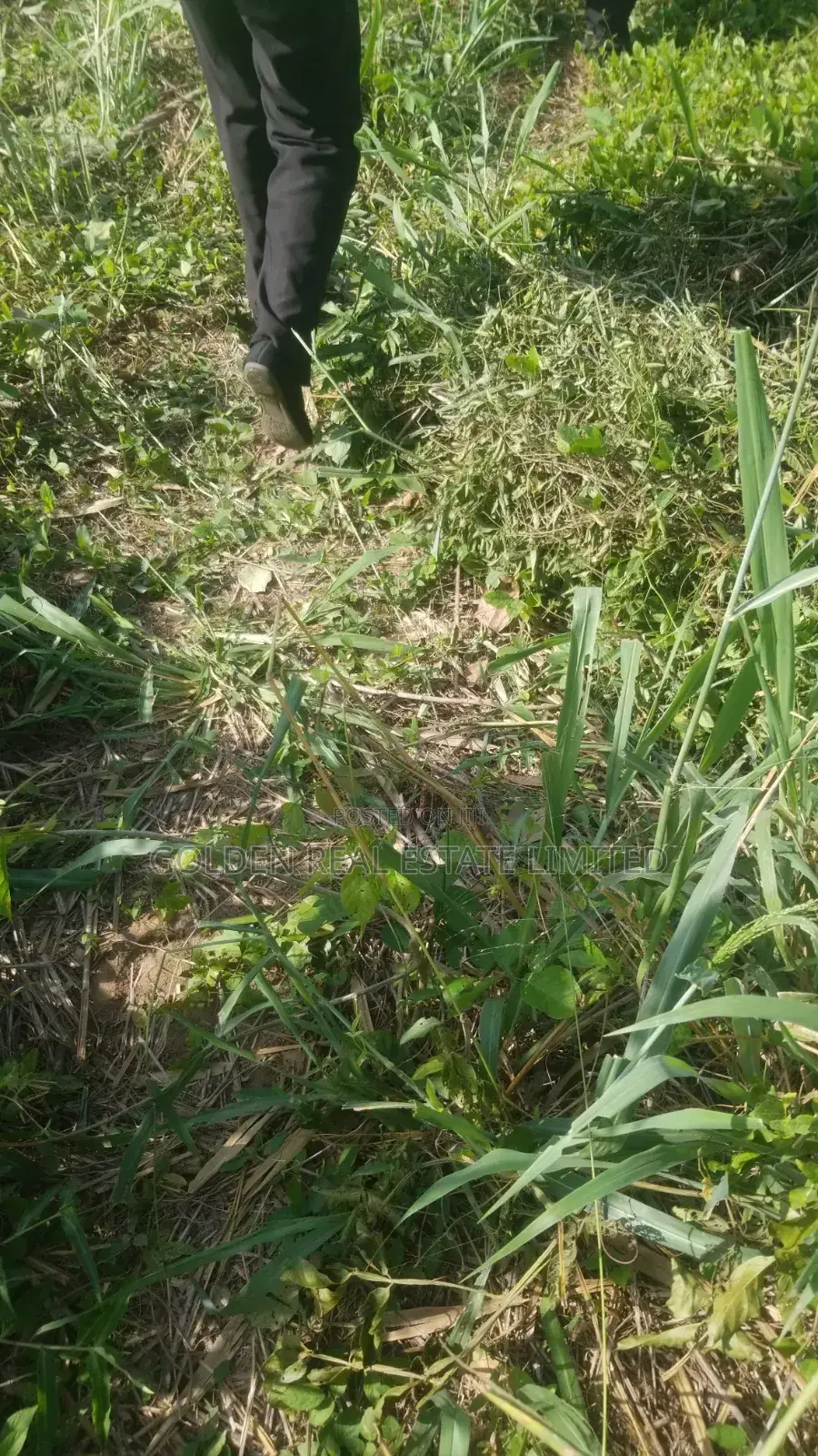 3 Plots of Land for Sale at Ijadu Ado Ekiti in Ado Ekiti