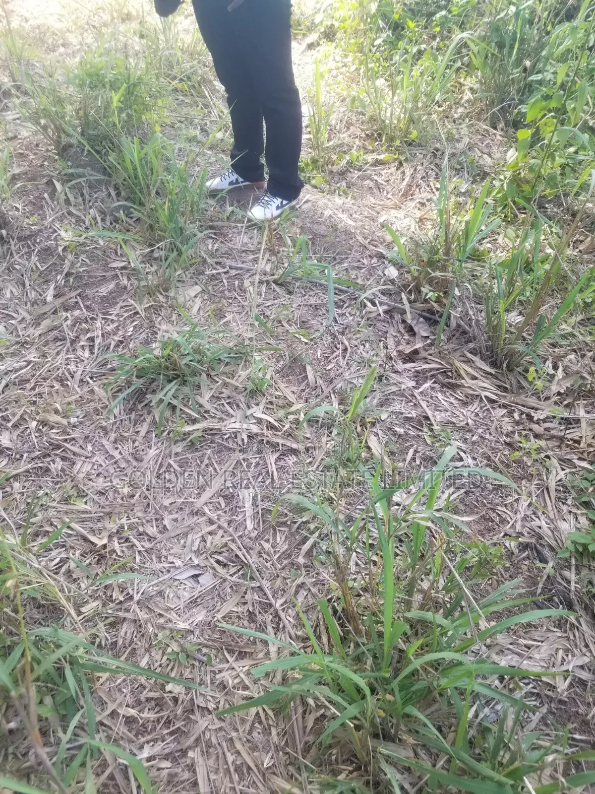 3 Plots of Land for Sale at Ijadu Ado Ekiti in Ado Ekiti