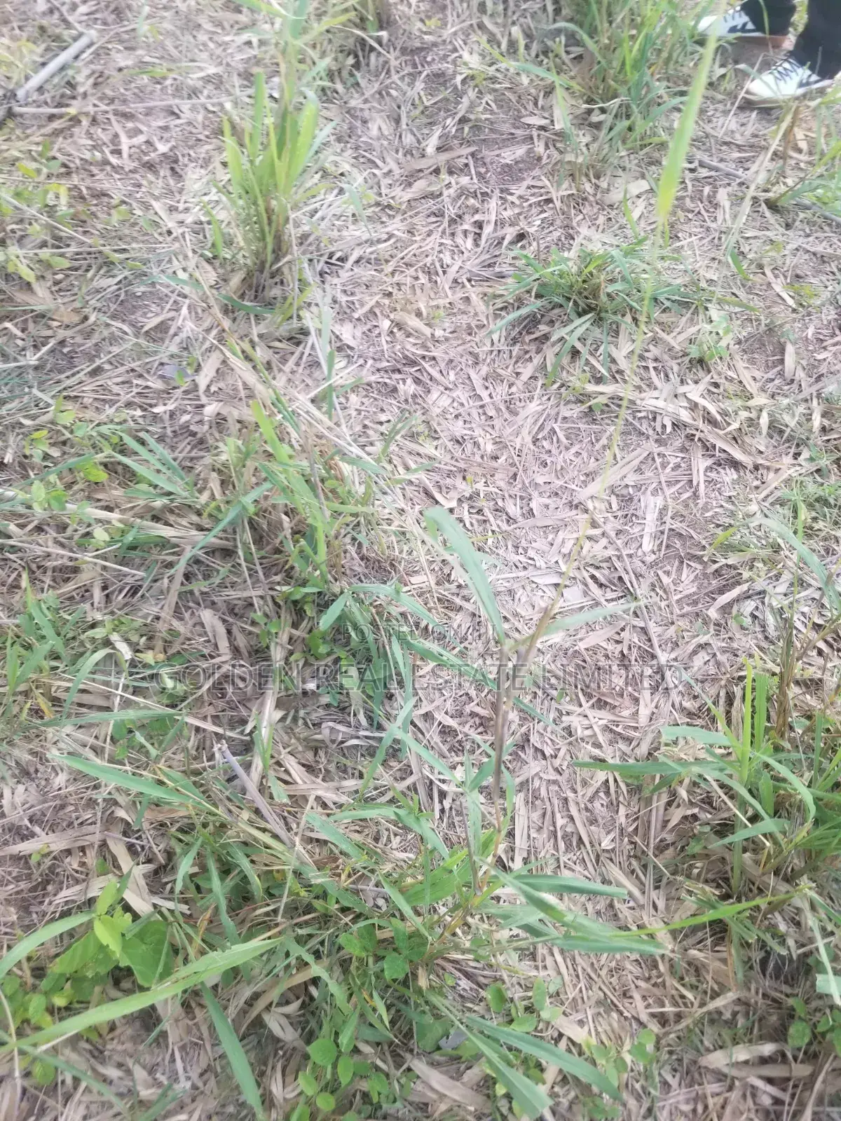 2plots Land Behinde Deeper Life Sch, Afao Rd Ado Ekiti in Ado Ekiti