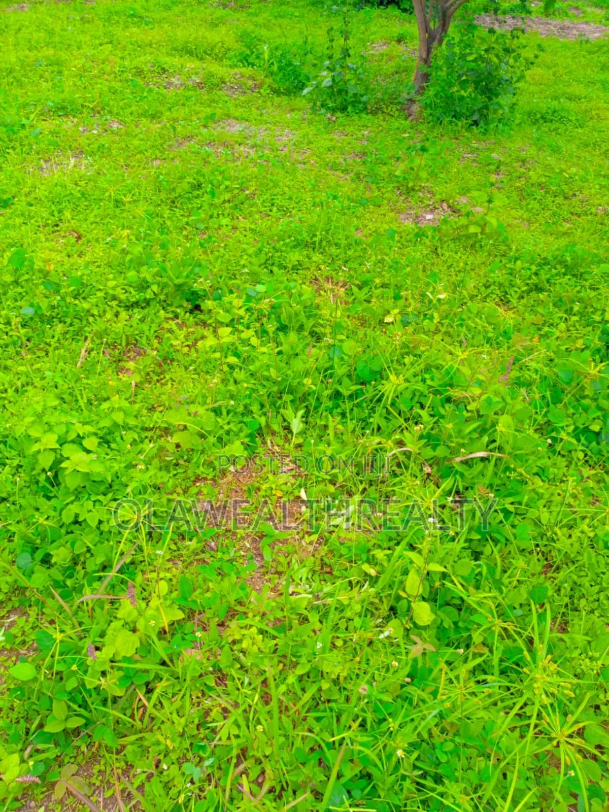 1,926sqm Residential Plot At Gwarinpa 2 in Gwarinpa