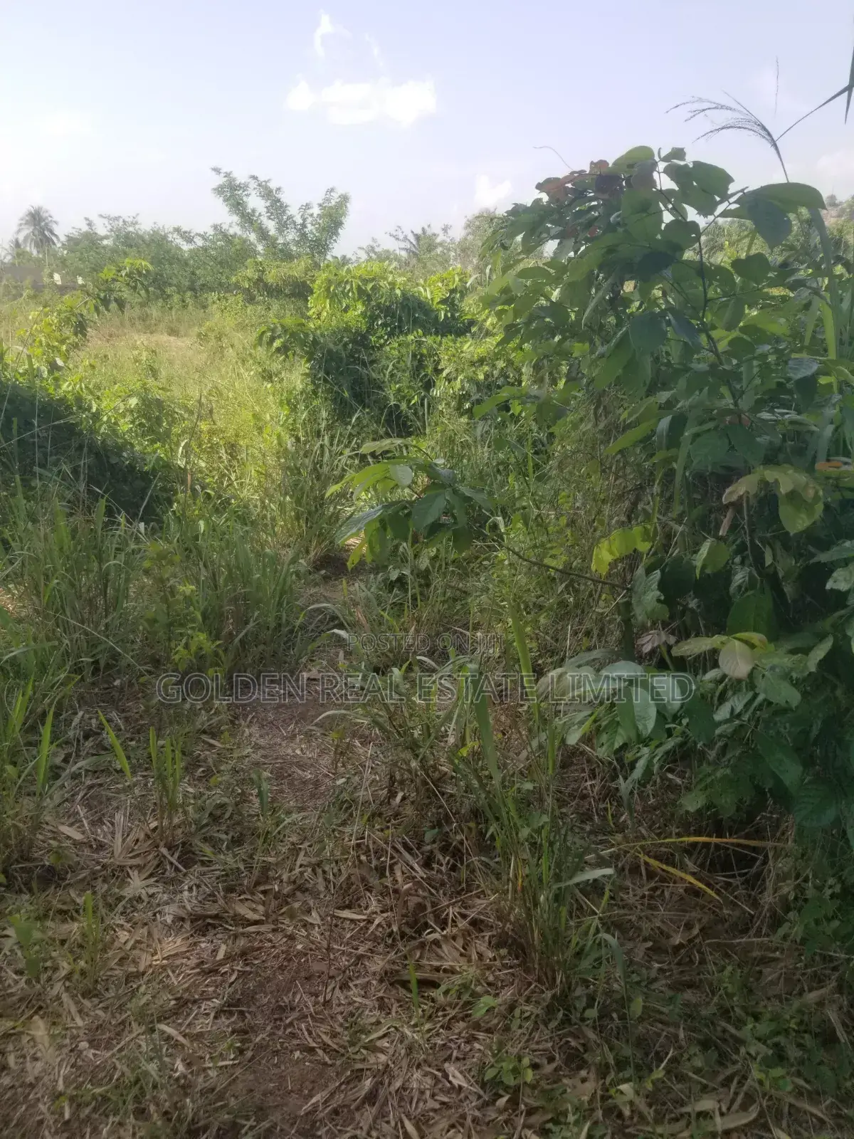Per Plot At Emirin Village, Idolofin Off Federal Poly, Road ,Ado Ekiti in Ado Ekiti