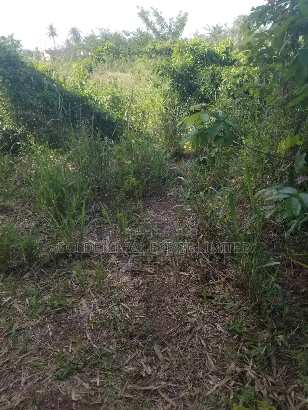 Per Plot At Emirin Village, Idolofin Off Federal Poly, Road ,Ado Ekiti in Ado Ekiti