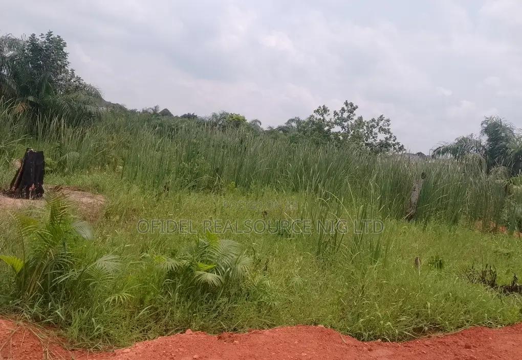 Premium Plot of Land Within Maba Off Redeem Camp/Aseese Link Rd in Obafemi-Owode