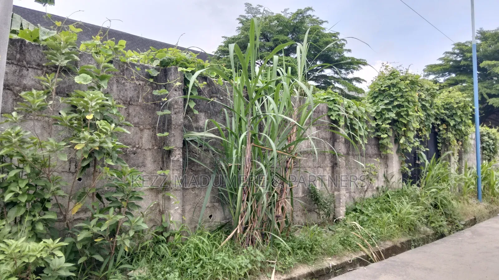 For Sale : 30 Plots in Umudike, Umuahia, Abia State in Umuahia