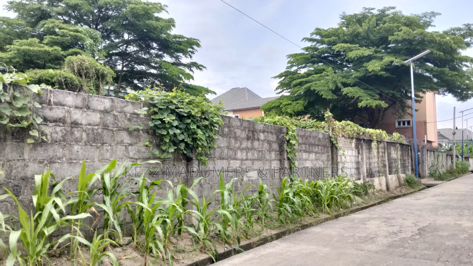For Sale : 30 Plots in Umudike, Umuahia, Abia State in Umuahia