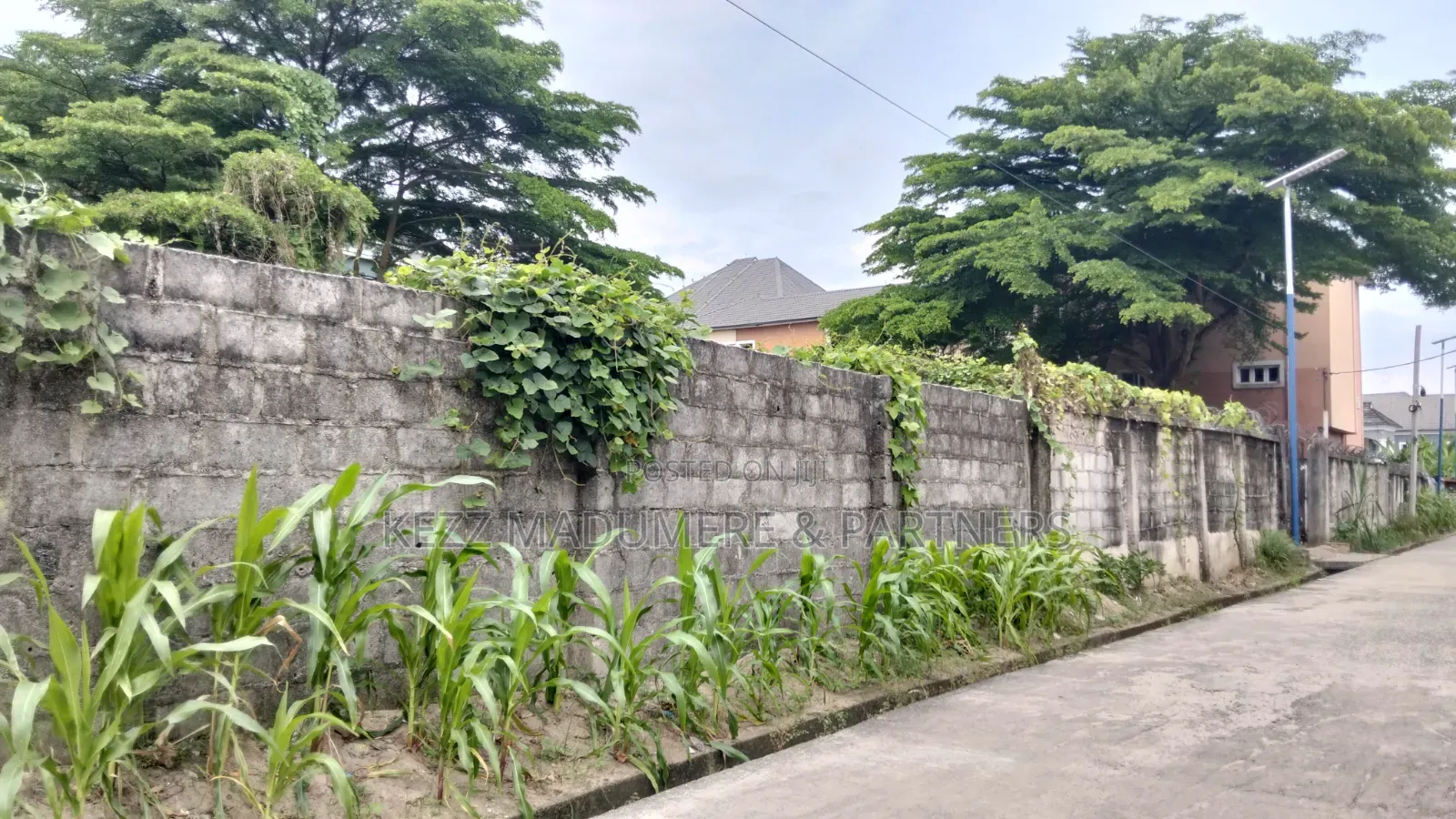 For Sale : 30 Plots in Umudike, Umuahia, Abia State in Umuahia