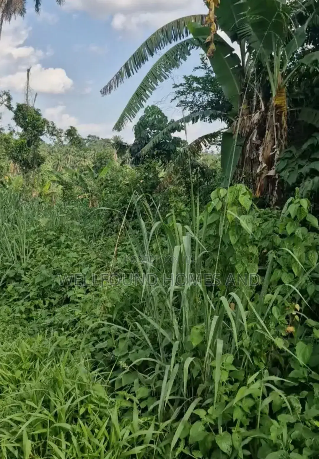 A Plot of Land for Sale in Ado Ekiti