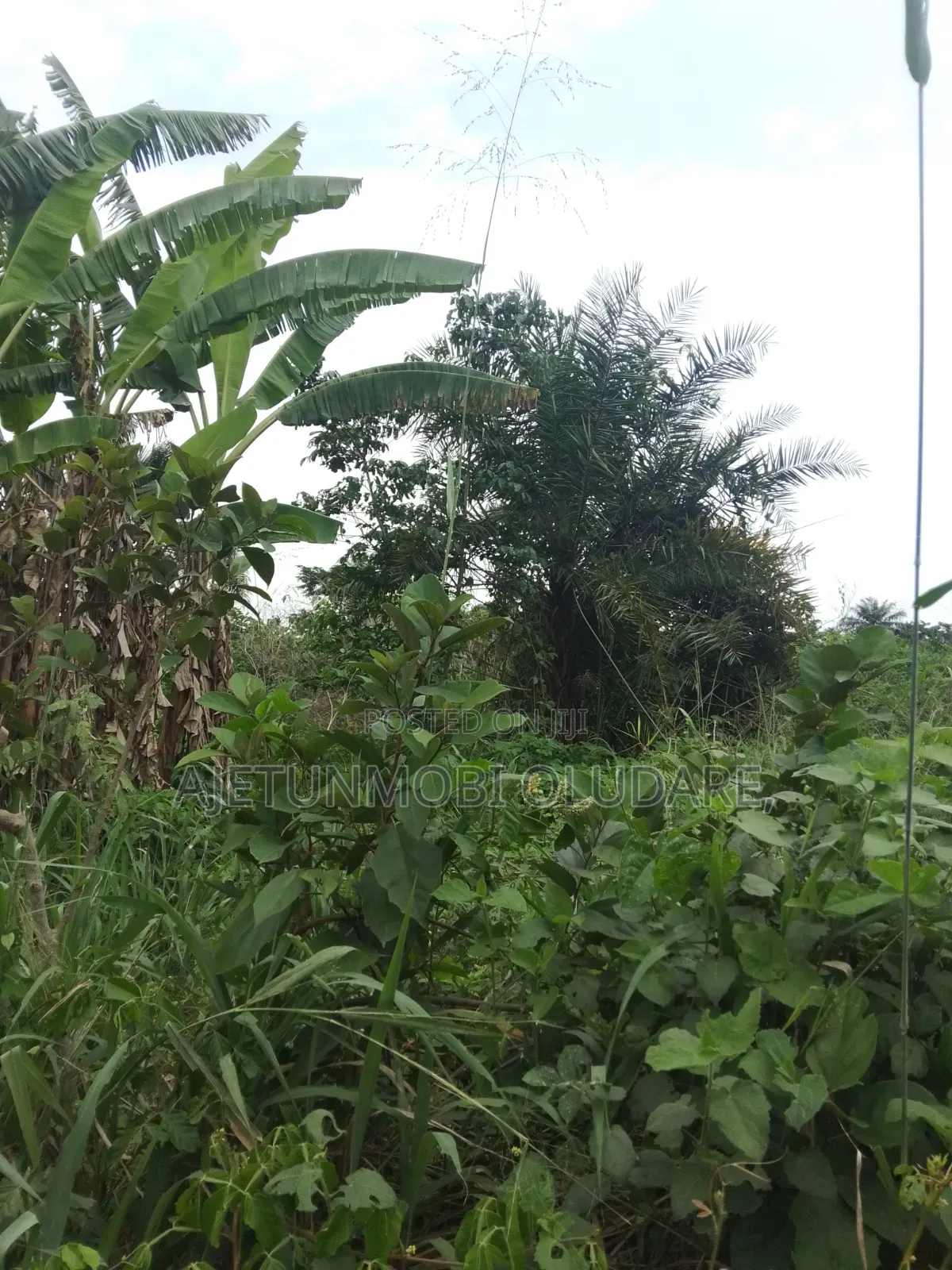 Fantastic Estate Land for Sale in Irepodun/Ifelodun