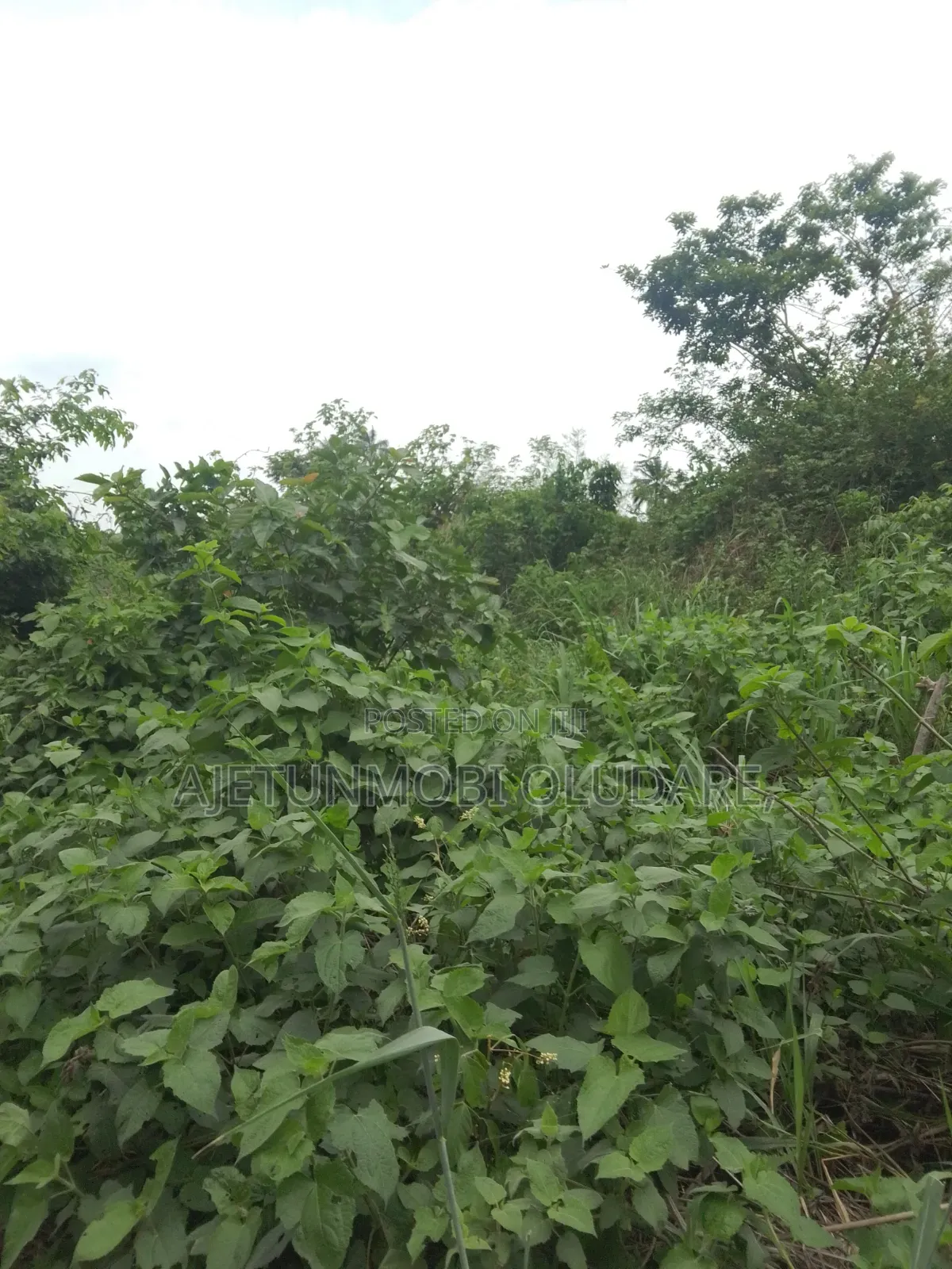 Fantastic Estate Land for Sale in Irepodun/Ifelodun