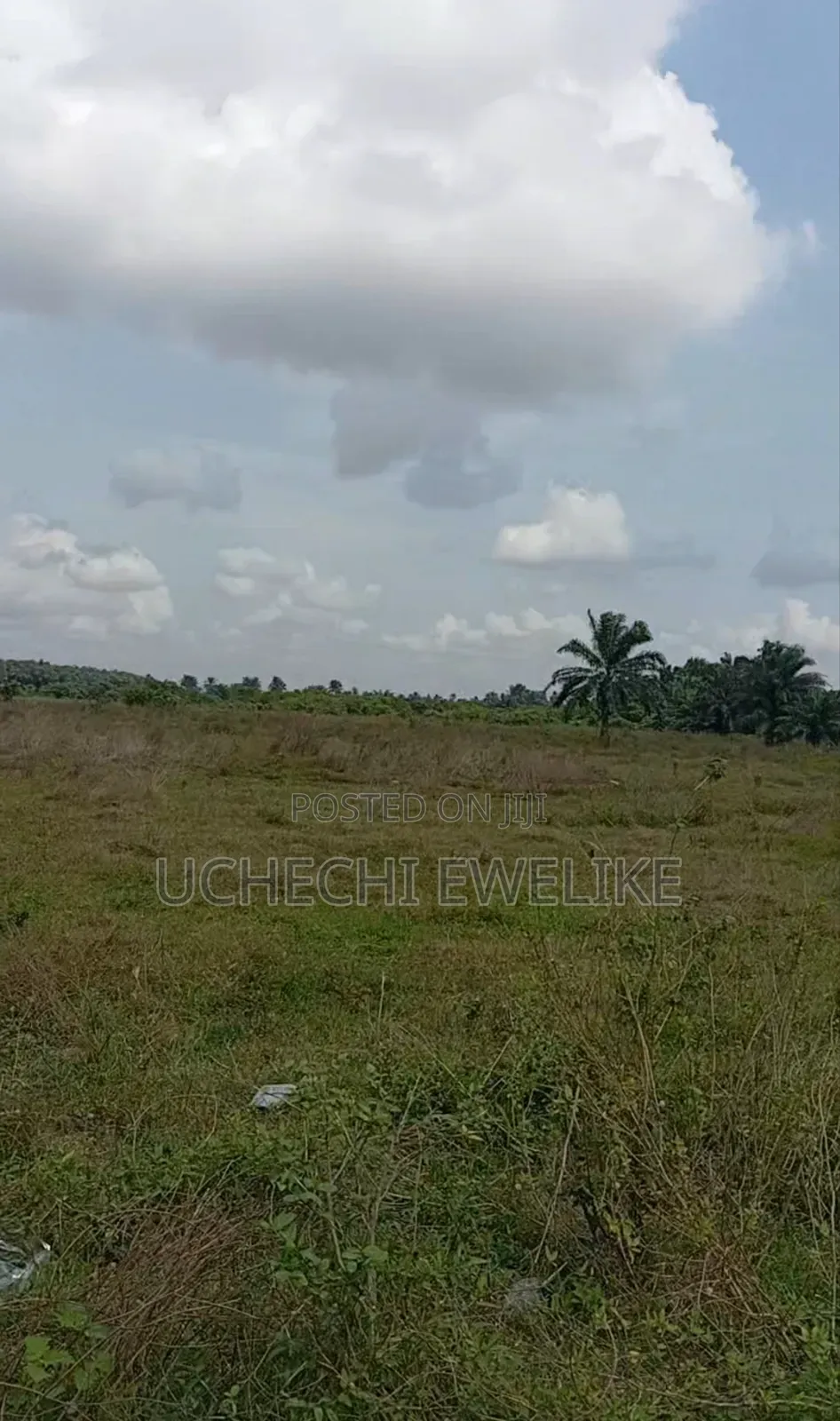 10m C of O Land Along the Airport Rd in Rukpokwu Portharcourt in Rukpokwu