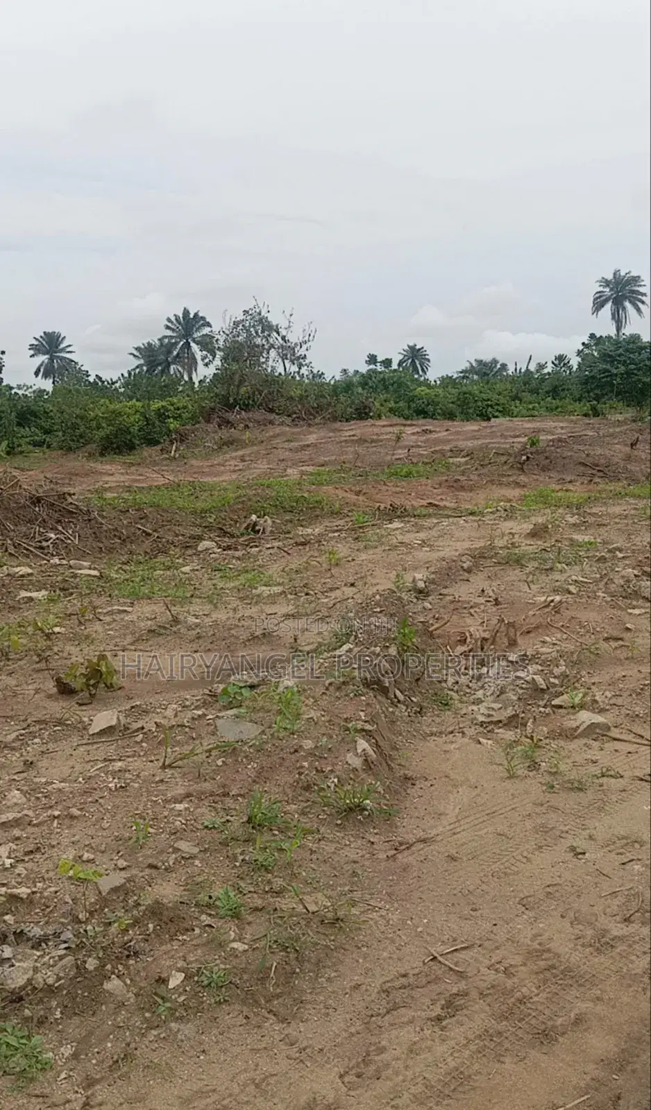40m Land for Sale at Banana Highland Trans-Woji Portharcourt in Woji
