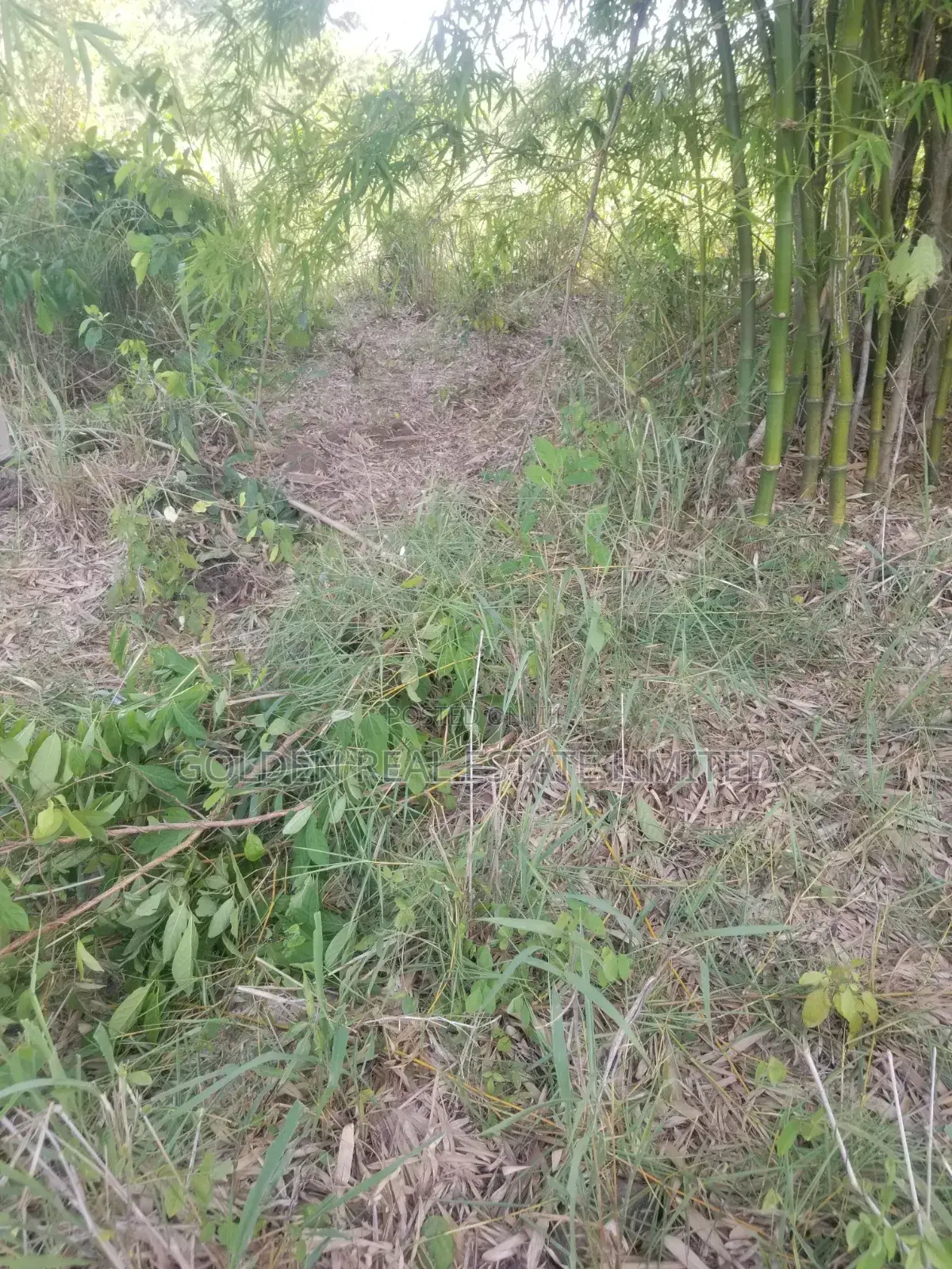 For Sale A Plot of Land With Old Building at Ado Ekiti in Ado Ekiti