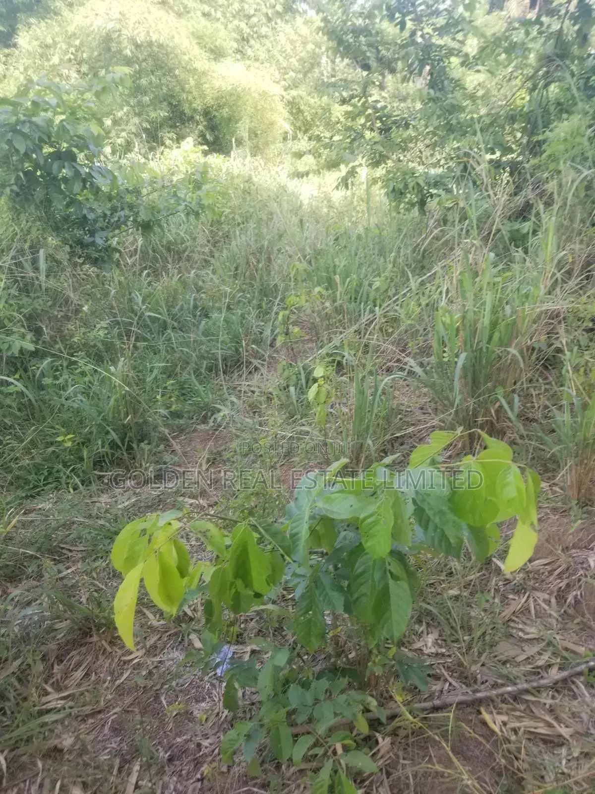 For Sale A Plot of Land With Old Building at Ado Ekiti in Ado Ekiti