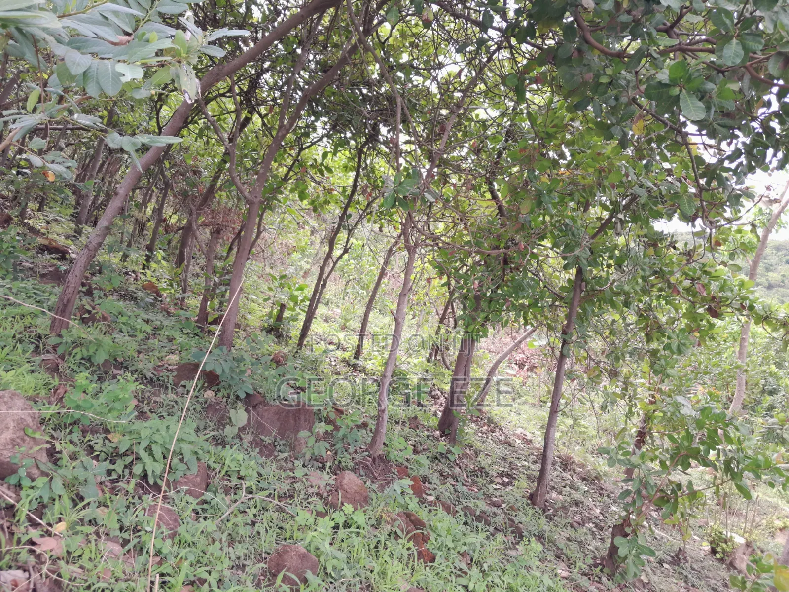 500sqm Land in Apo Resettlement, Abuja in Apo Resettlement