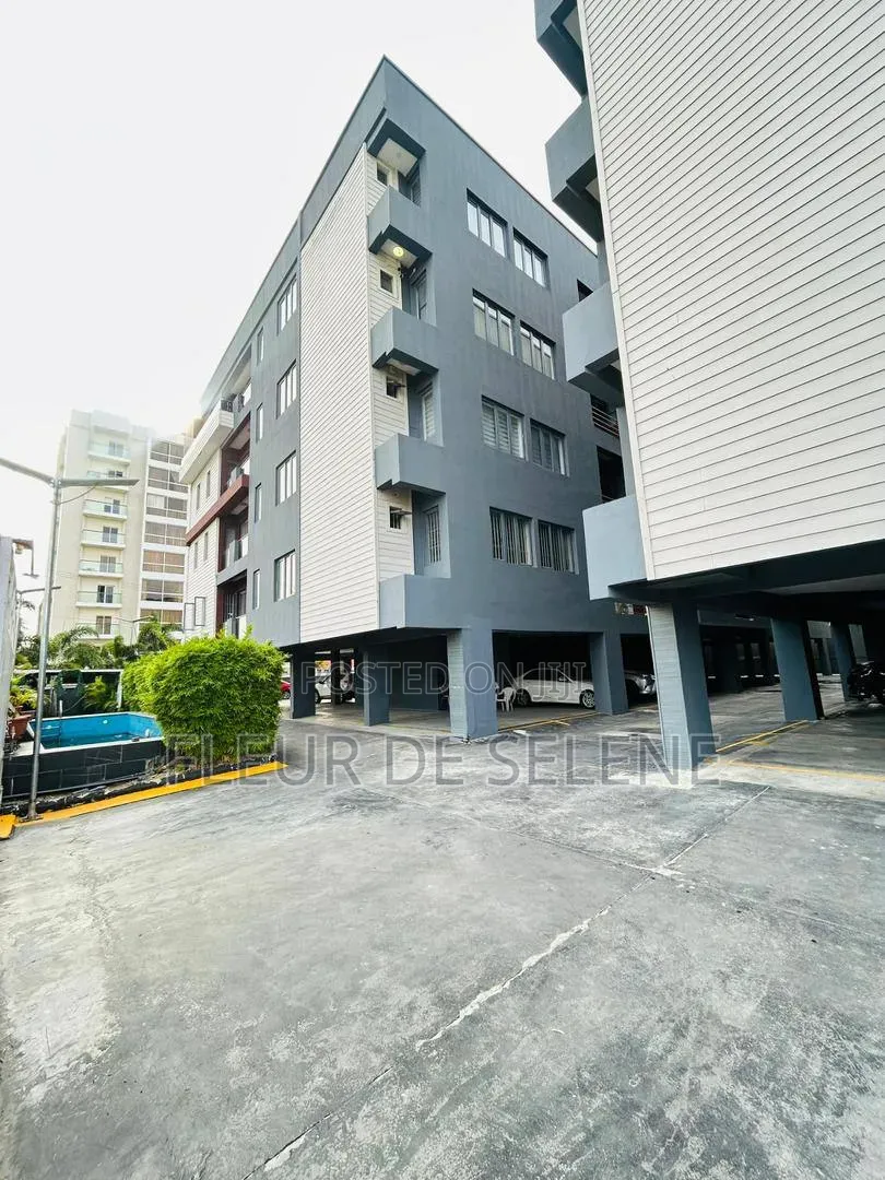 Furnished 3bdrm Apartment in Lagos Island / Lagos Island for rent in Lagos Island / Lagos Island