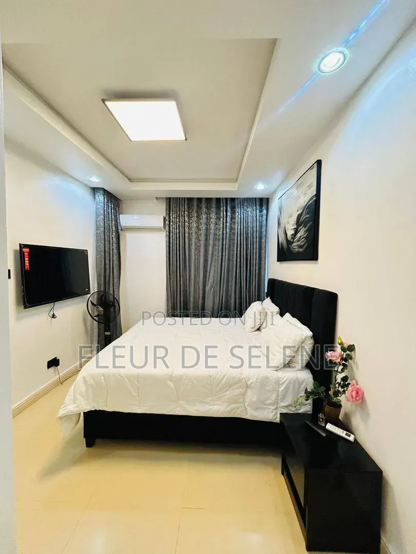 Furnished 3bdrm Apartment in Lagos Island / Lagos Island for rent in Lagos Island / Lagos Island