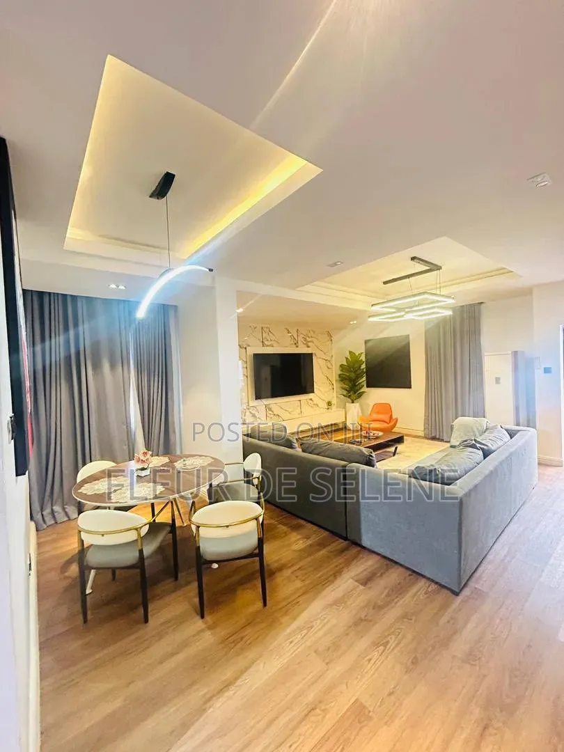 Furnished 3bdrm Apartment in Lagos Island / Lagos Island for rent in Lagos Island / Lagos Island