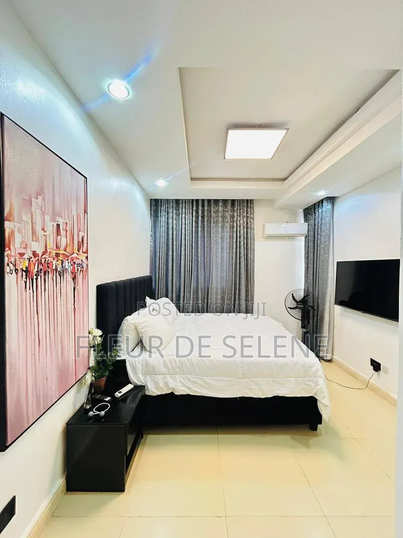 Furnished 3bdrm Apartment in Lagos Island / Lagos Island for rent in Lagos Island / Lagos Island
