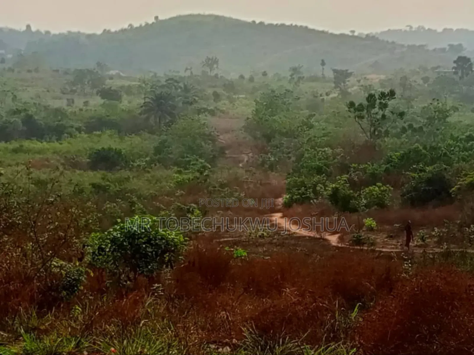 Anambra Land Deals You Don’T Want to Miss in Awka