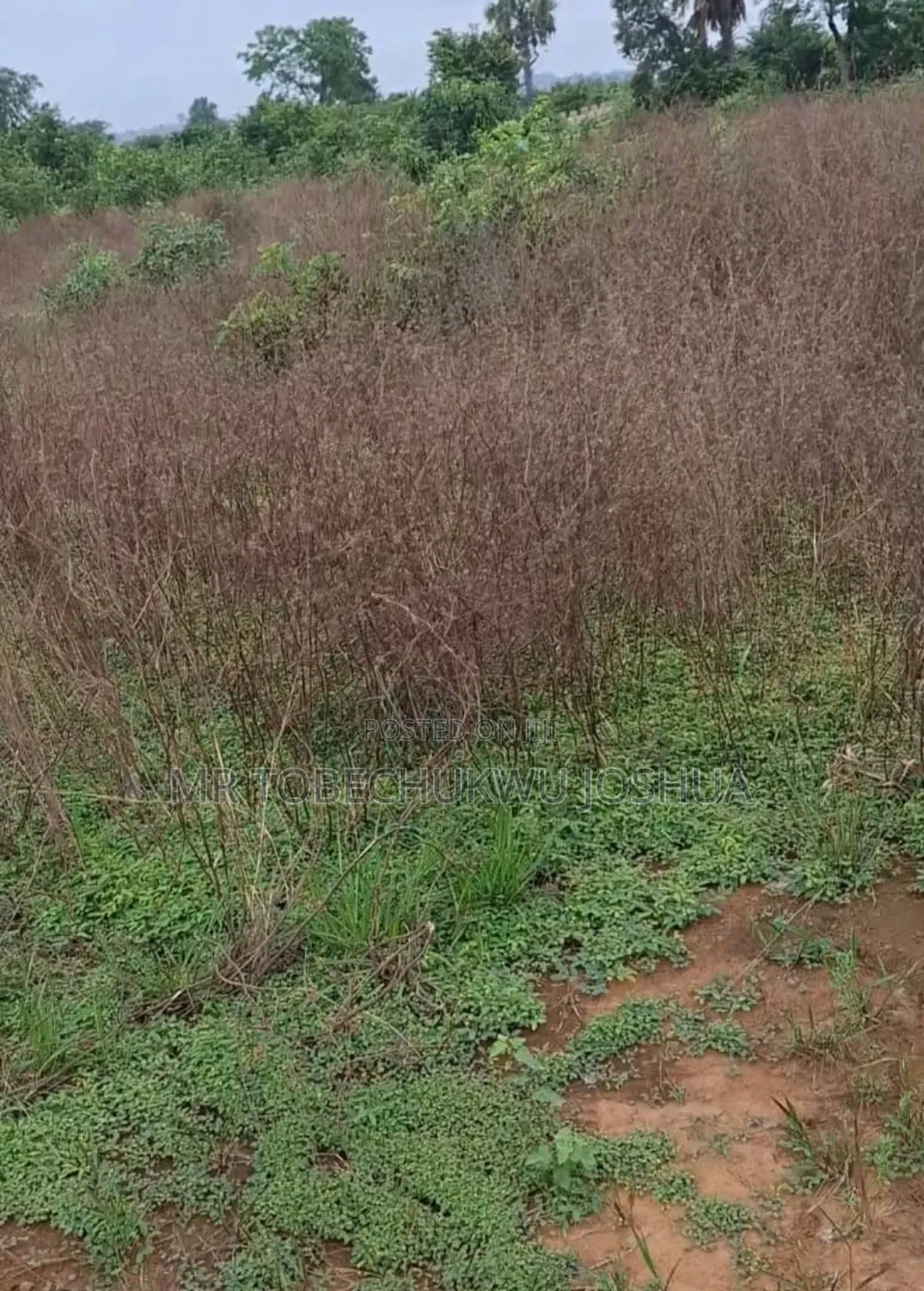 Anambra Land Deals You Don’T Want to Miss in Awka