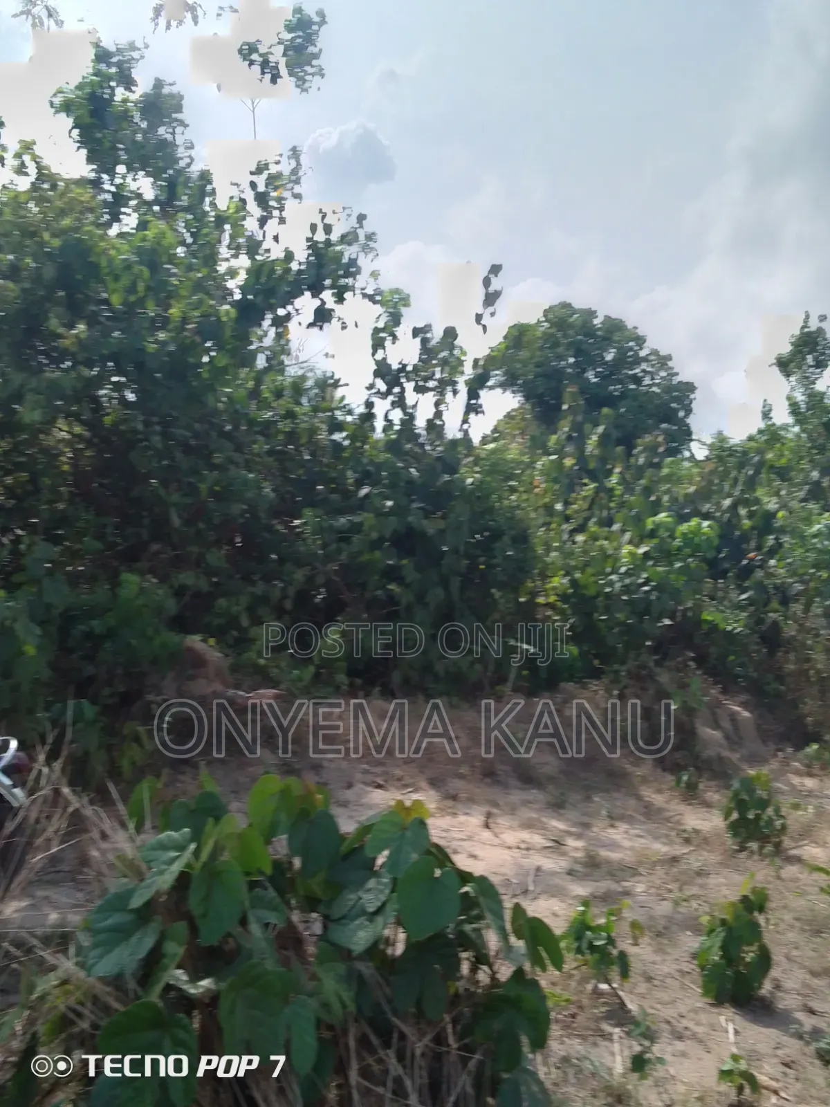 Waterfront Land for Fish Farming. in Ukwa