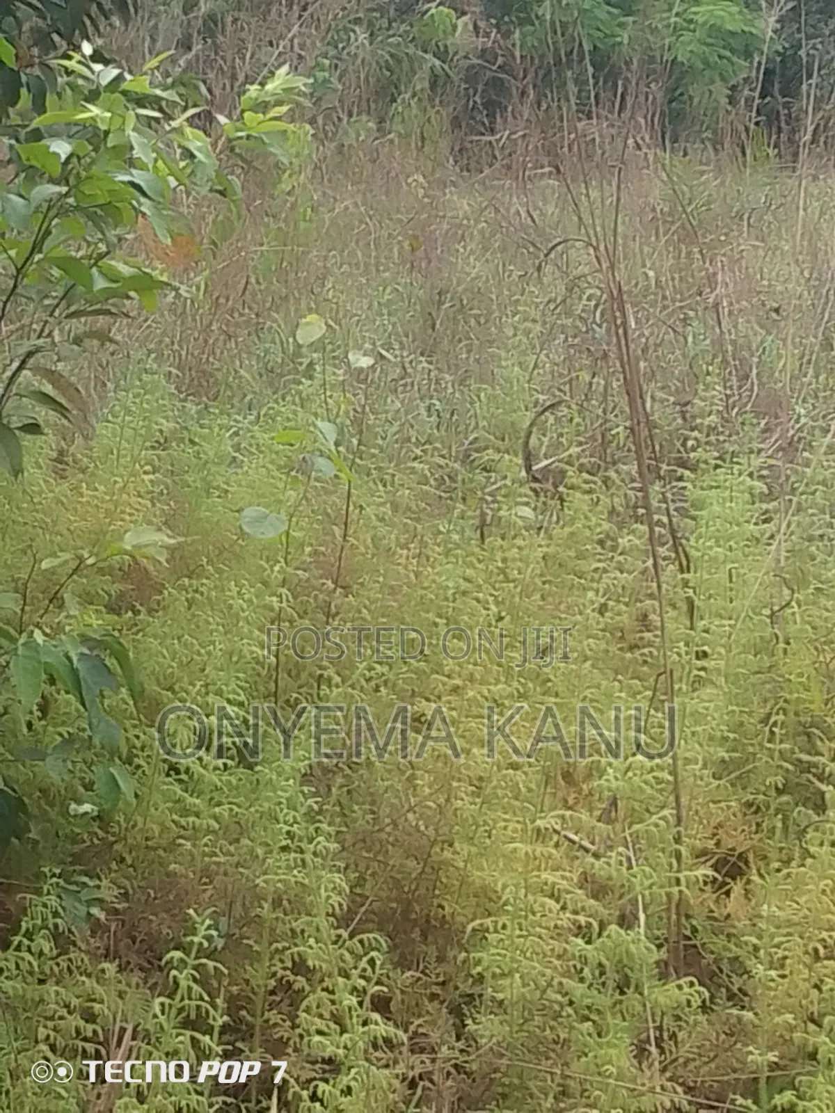 Waterfront Land for Fish Farming. in Ukwa