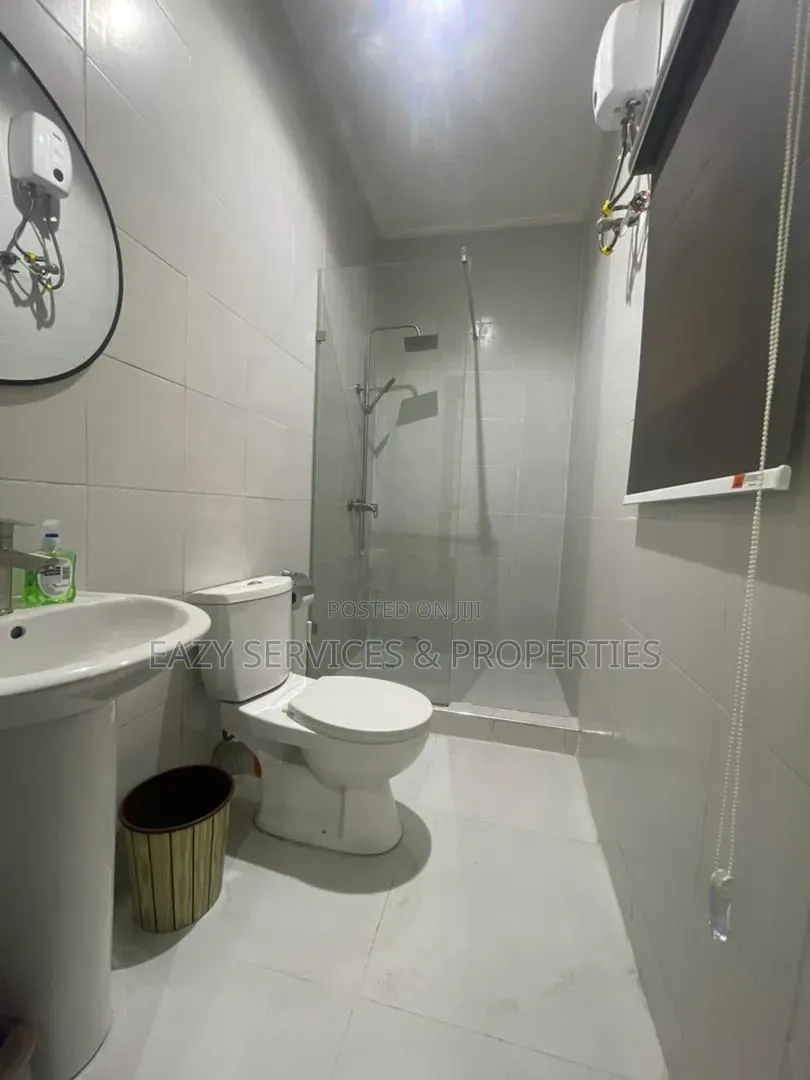 Furnished Studio Apartment in Old Ikoyi for rent in Old Ikoyi