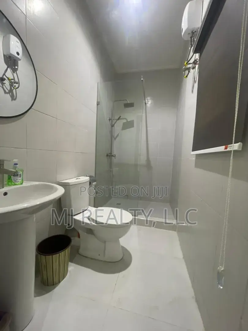 Furnished Studio Apartment in Old Ikoyi for rent in Old Ikoyi