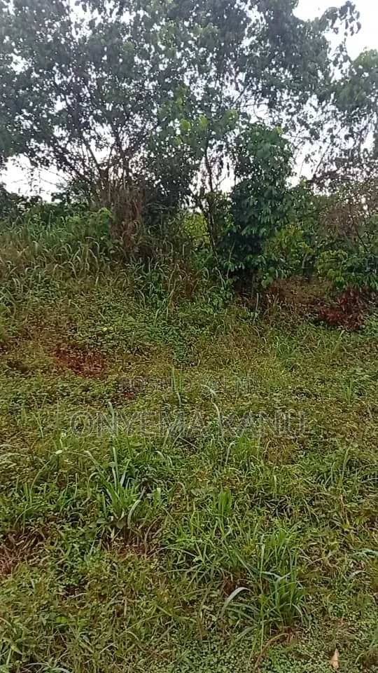 15 Plots At Rock Bottom Price. in Ukwa