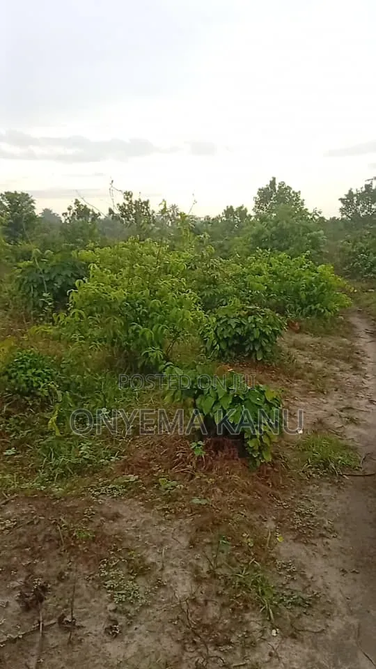 15 Plots At Rock Bottom Price. in Ukwa