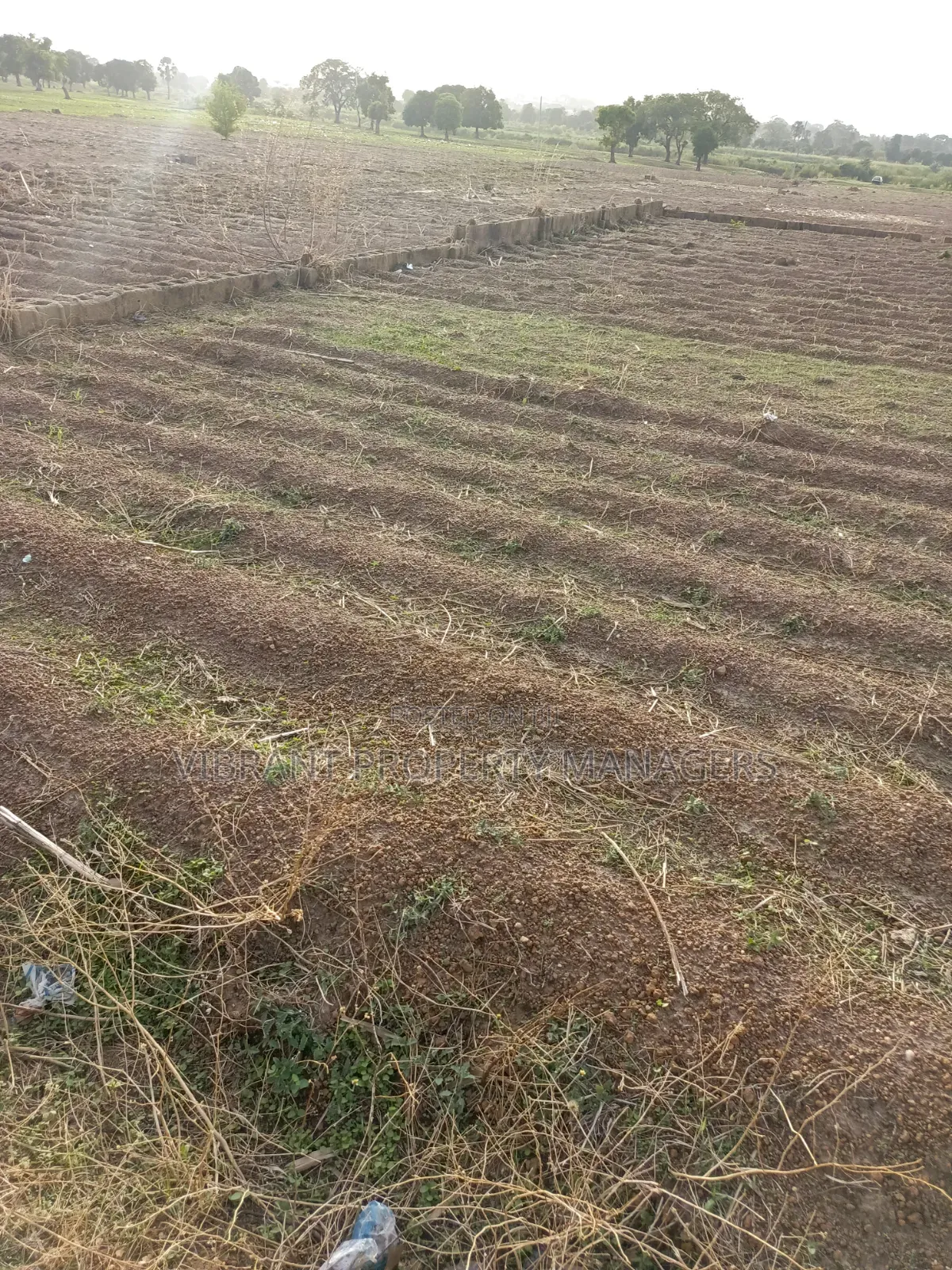 Land for Sale in Kaduna / Kaduna State