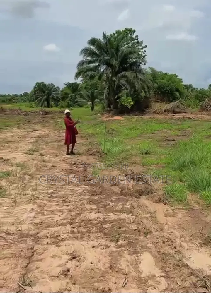 50x100sq :Meter: Land for Sale in Ukwulu Anambra State in Onitsha