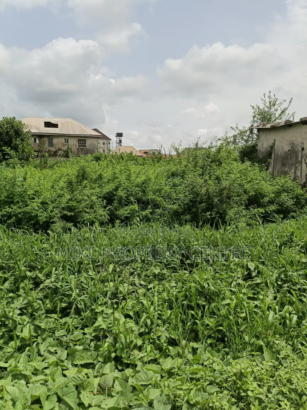 A Full Plot of Land in Ago Palace