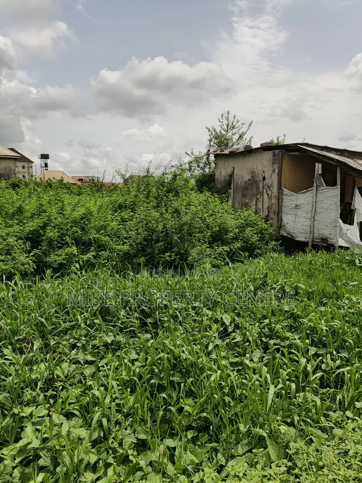 A Full Plot of Land in Ago Palace
