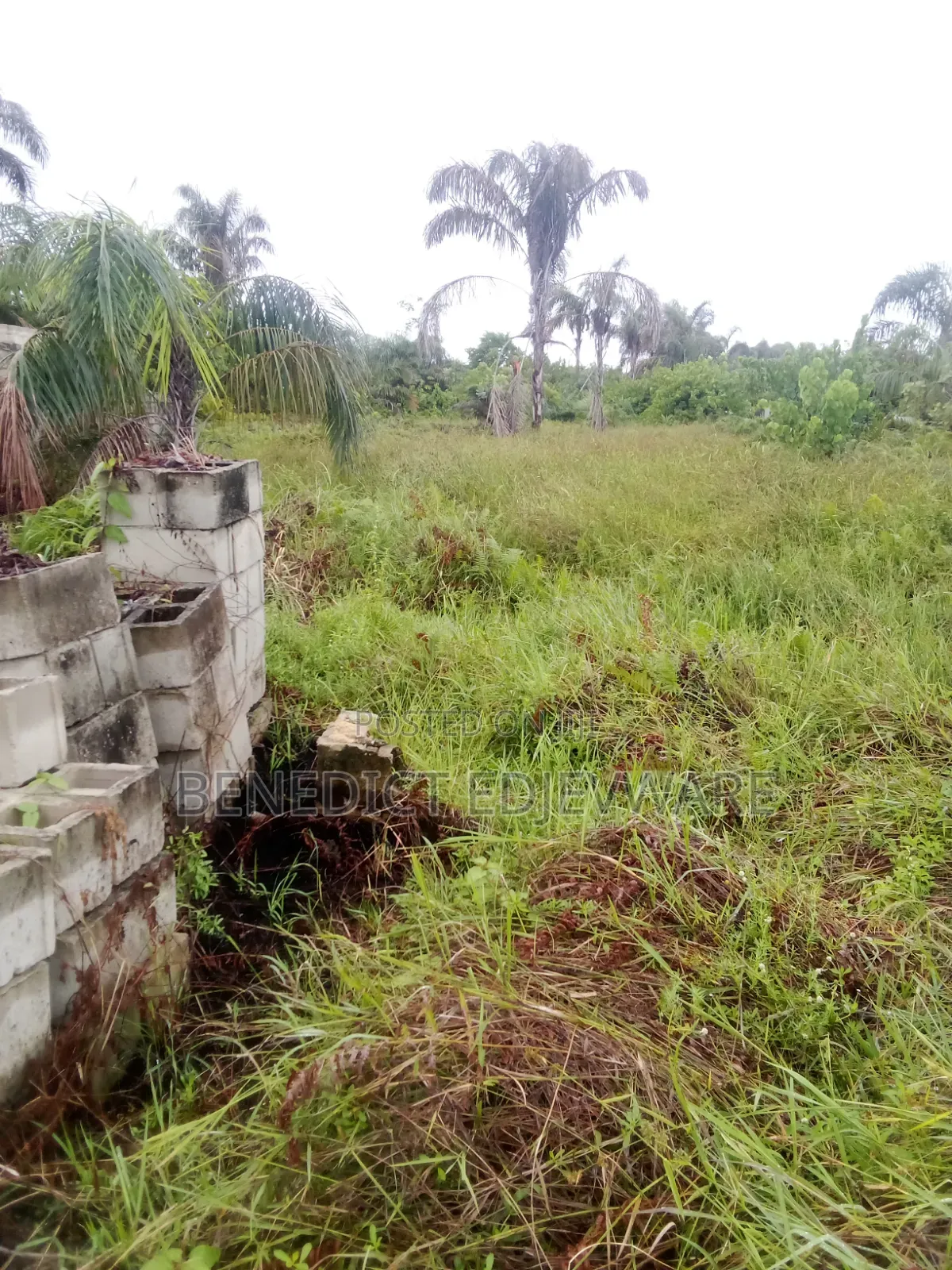 Deed Of Assignment,Gazette, Receipt, Survey Plan in Awoyaya