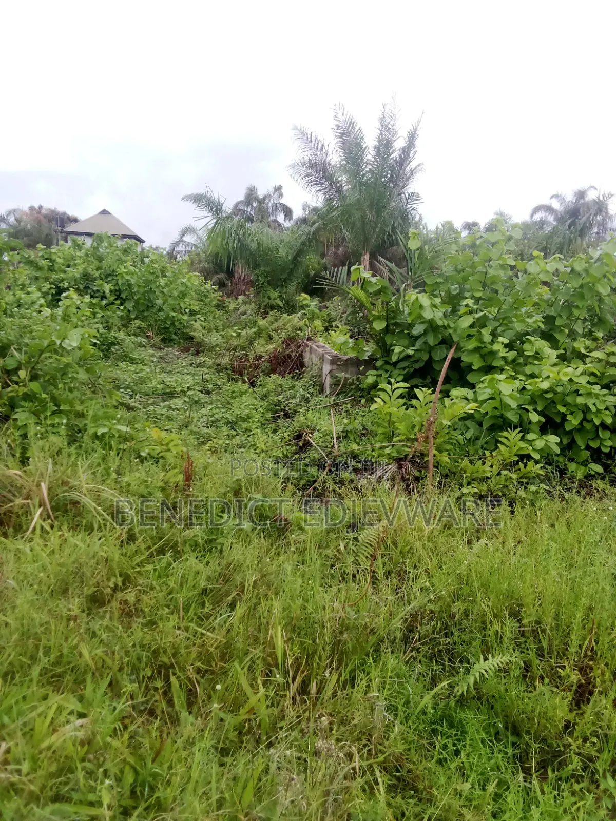 Deed of Assignment, Register Survey Plan Gazette, Receipt in Awoyaya