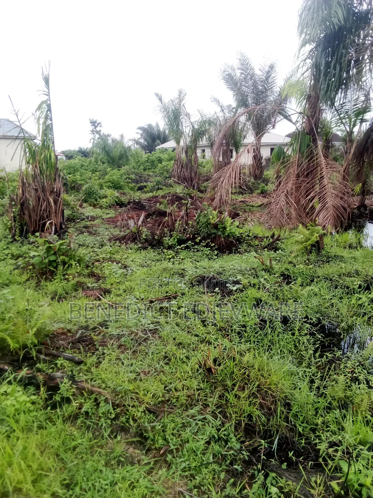 Deed of Assignment, Register Survey Plan Gazette, Receipt in Awoyaya