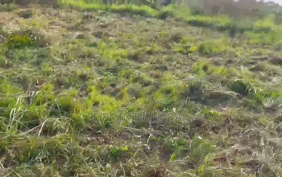 250sqm of Land ( Half Plot) at Hill-Top Estate, Ikola in Alagbado