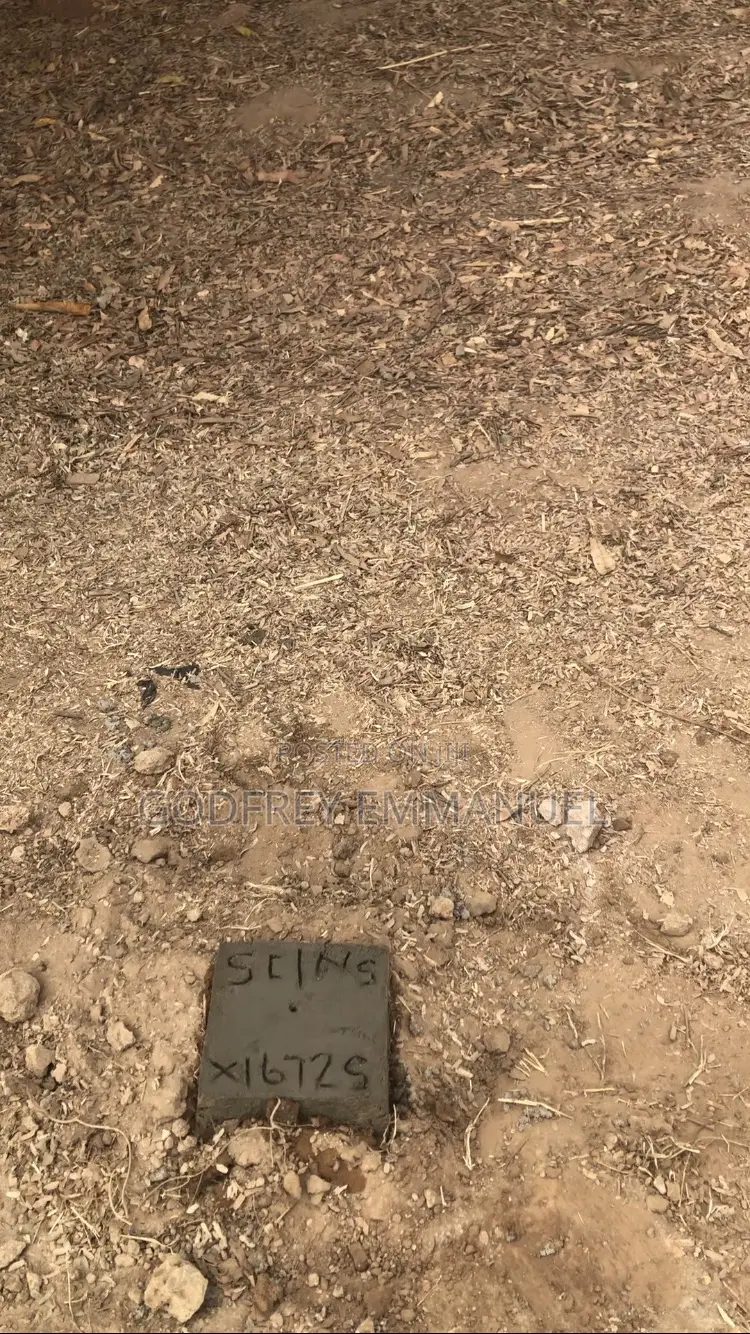 1 Plot of Land With C of O in Gandu Federal University Lafia in Lafia