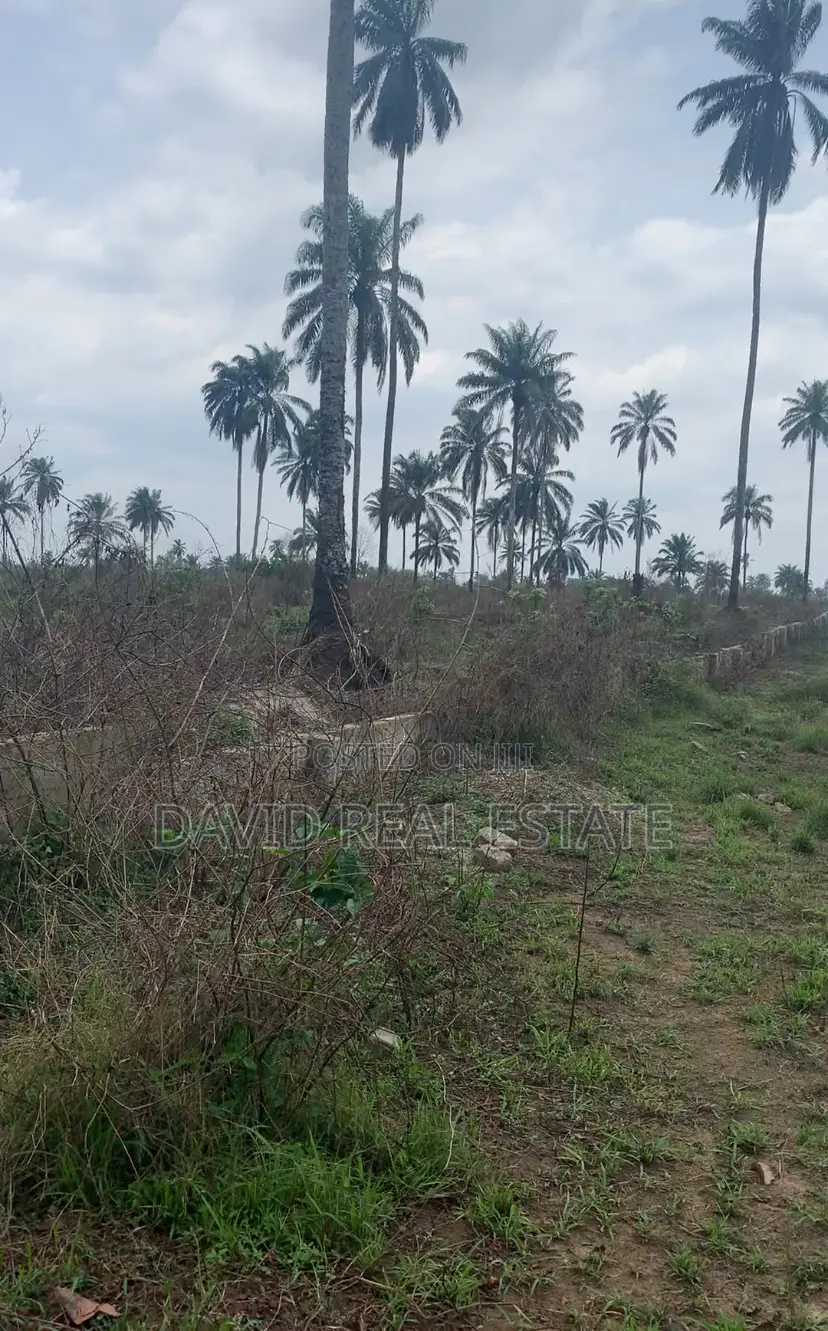 Land for Sale in Igwuruta, Ph in Obio-Akpor