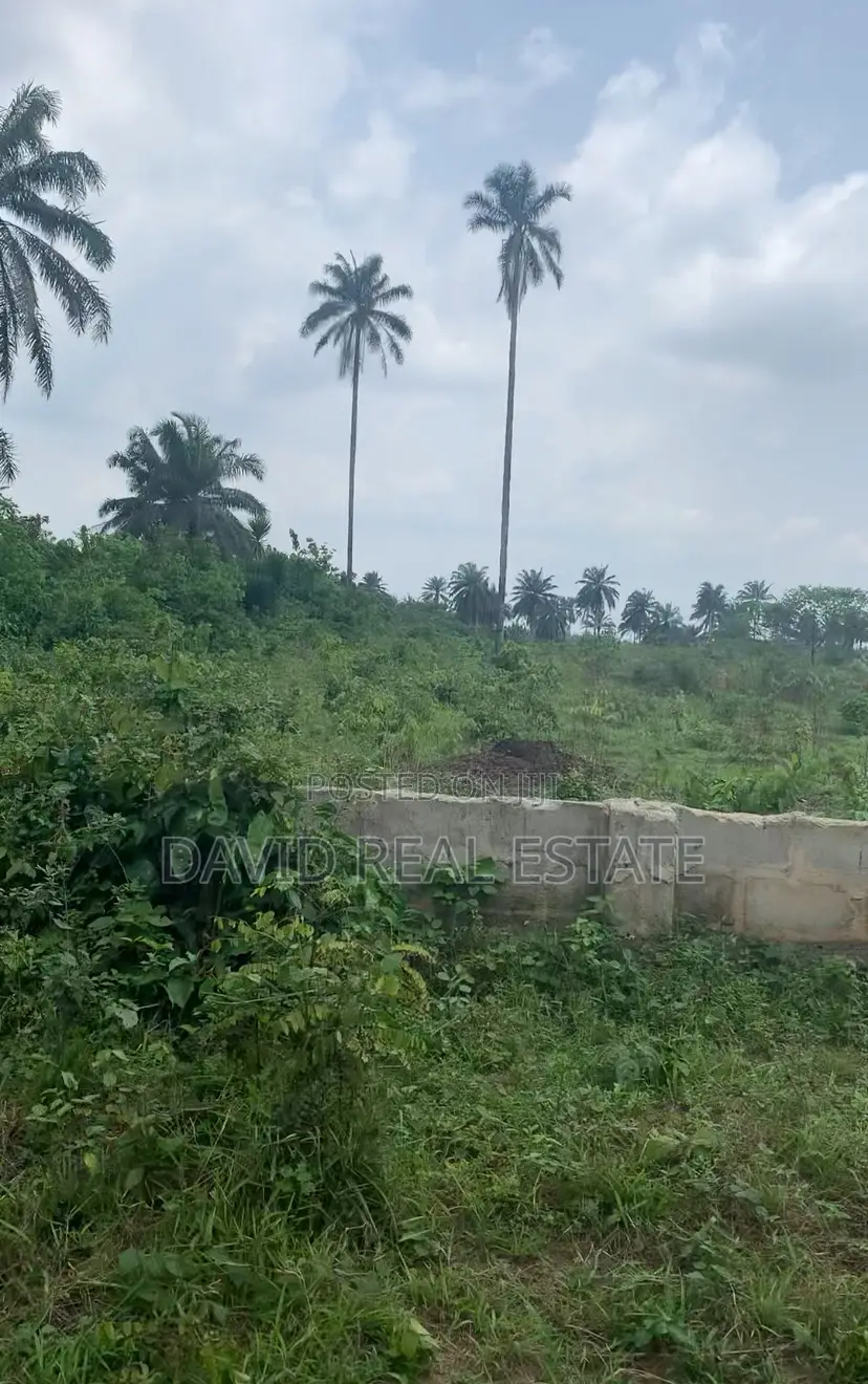 Land for Sale in Igwuruta, Ph in Obio-Akpor