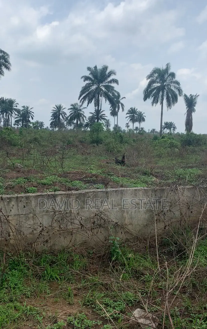 Land for Sale in Igwuruta, Ph in Obio-Akpor