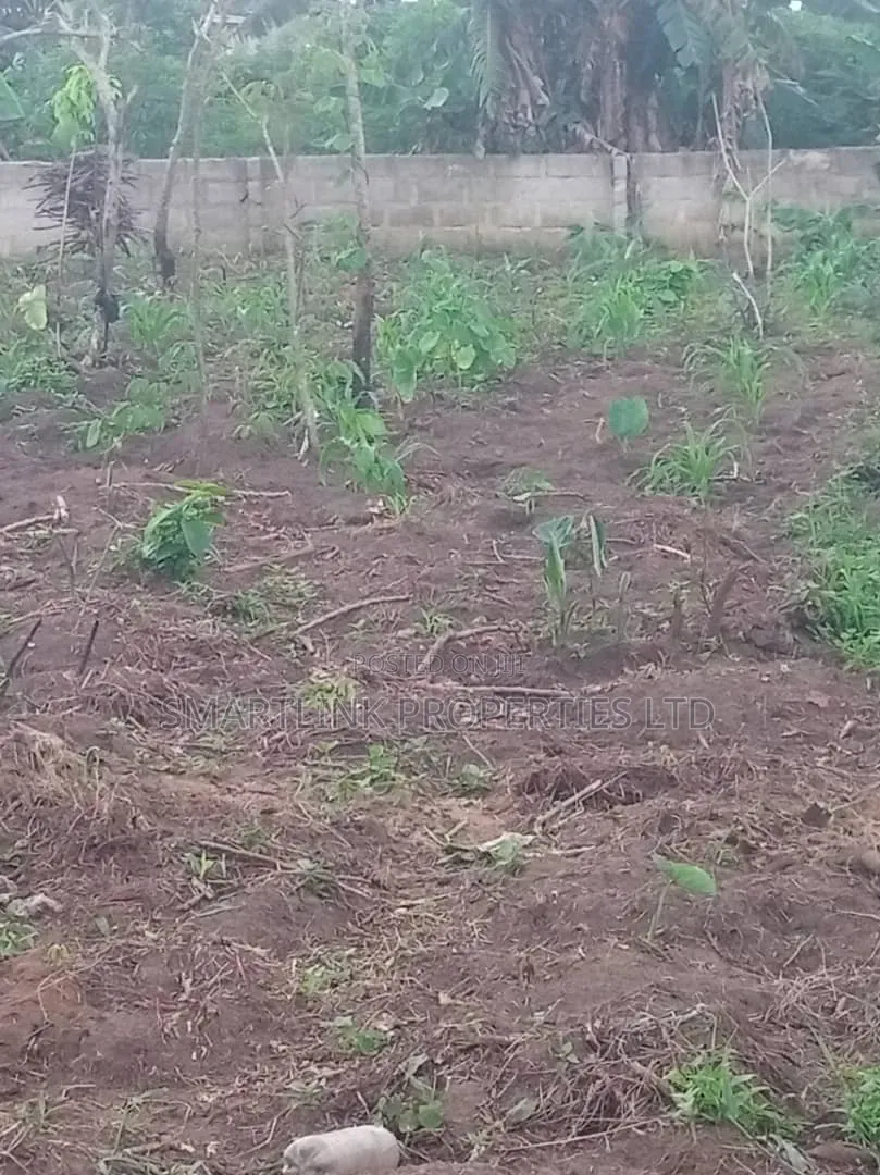 2 Half Plots of Land for Sale in Portharcourt in Eneka