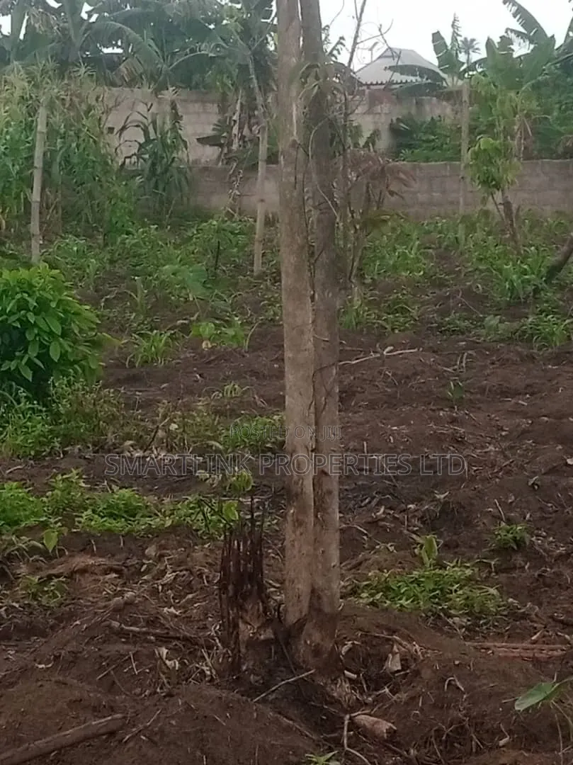 2 Half Plots of Land for Sale in Portharcourt in Eneka