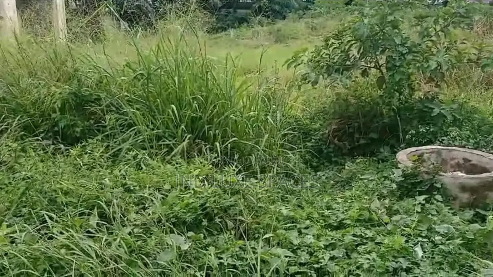 Land for Lease in Parkview Estate