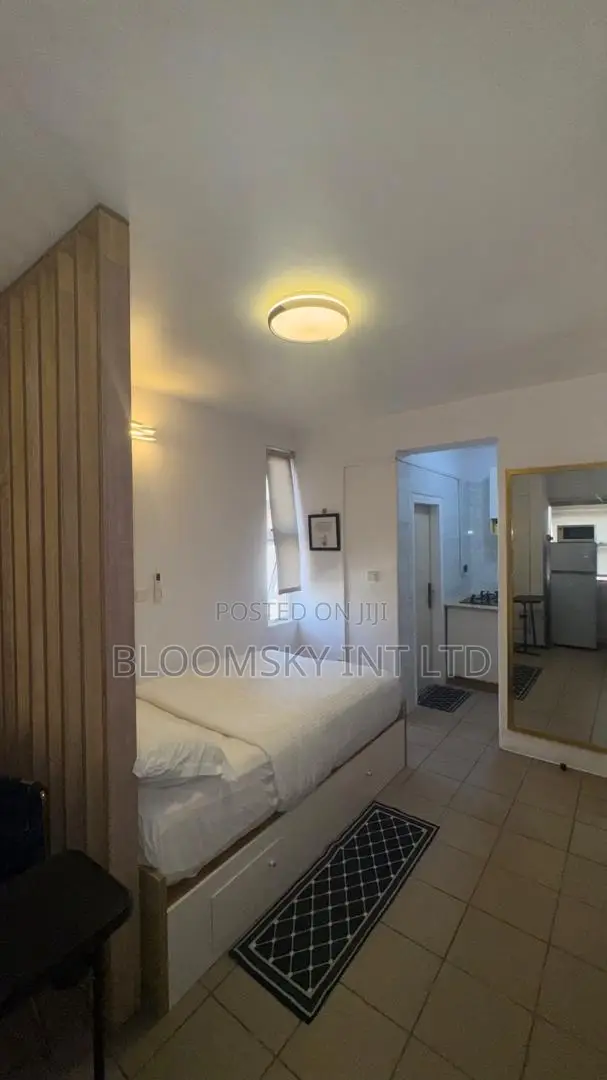 Lovely Studio Apartment in Ikoyi in Awolowo Road