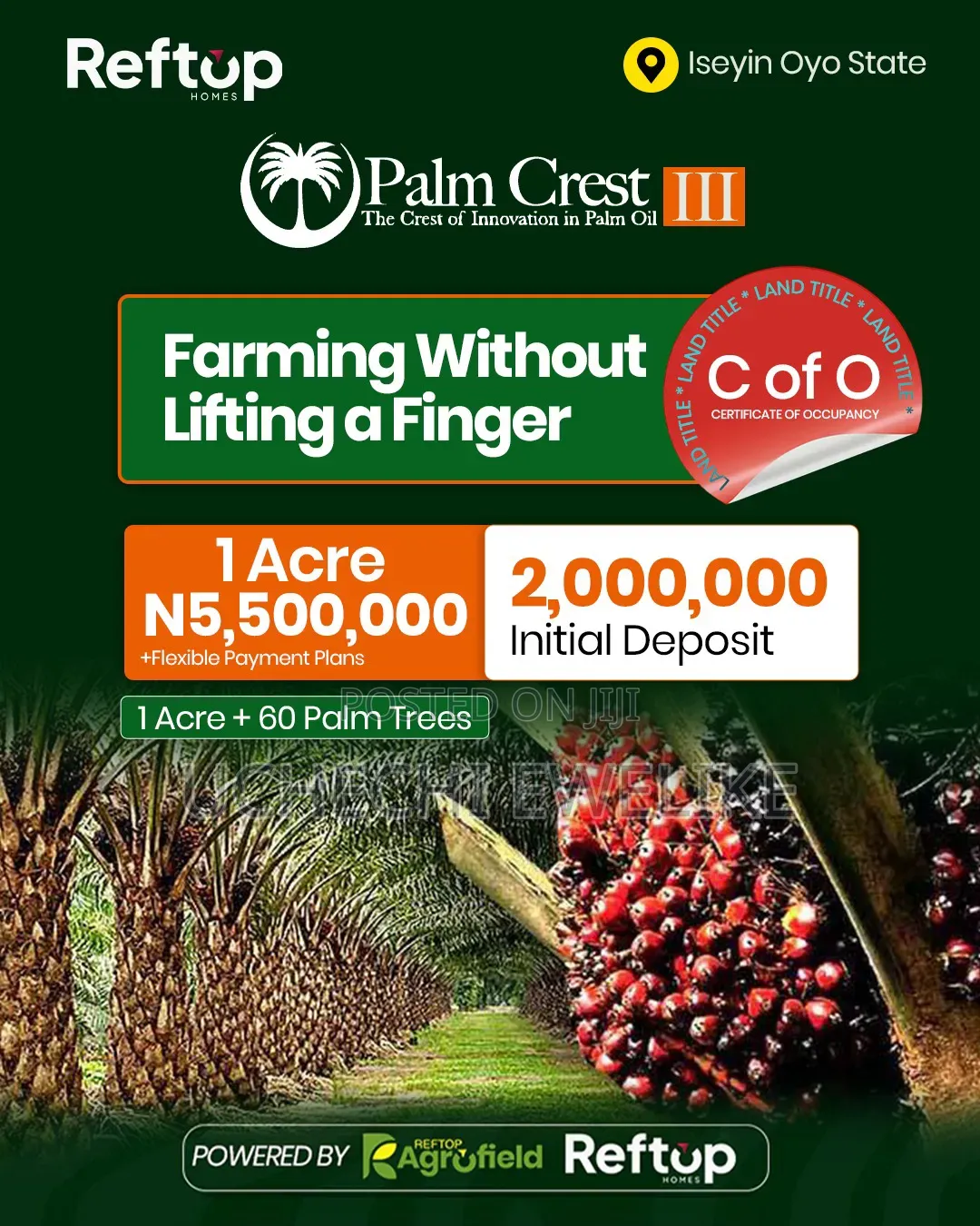 C of O Palm Oil Farmland With 5m+ Annual Income in Iseyin Oyo in Iseyin