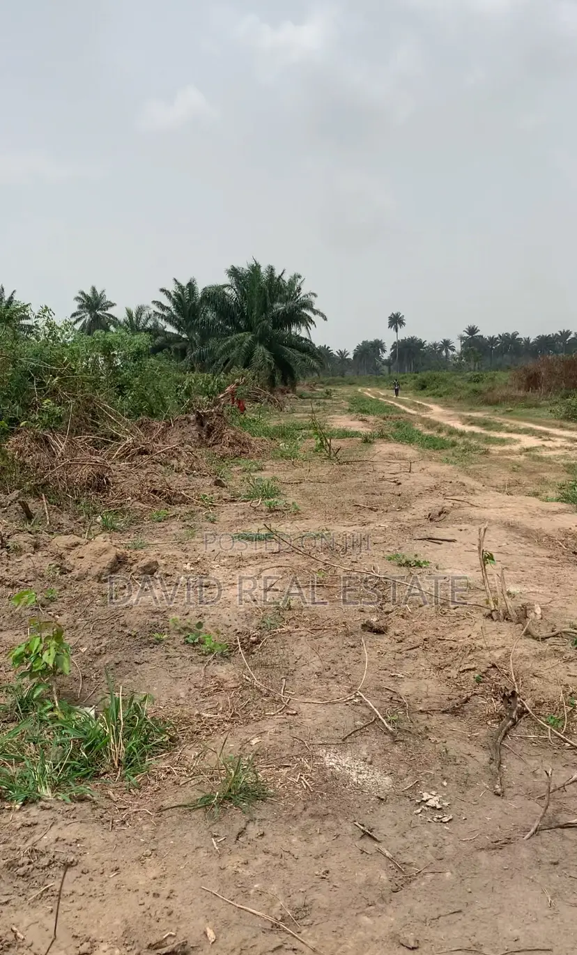 Verified Land for Sale – Igwurutali, Port Harcourt in Ikwerre