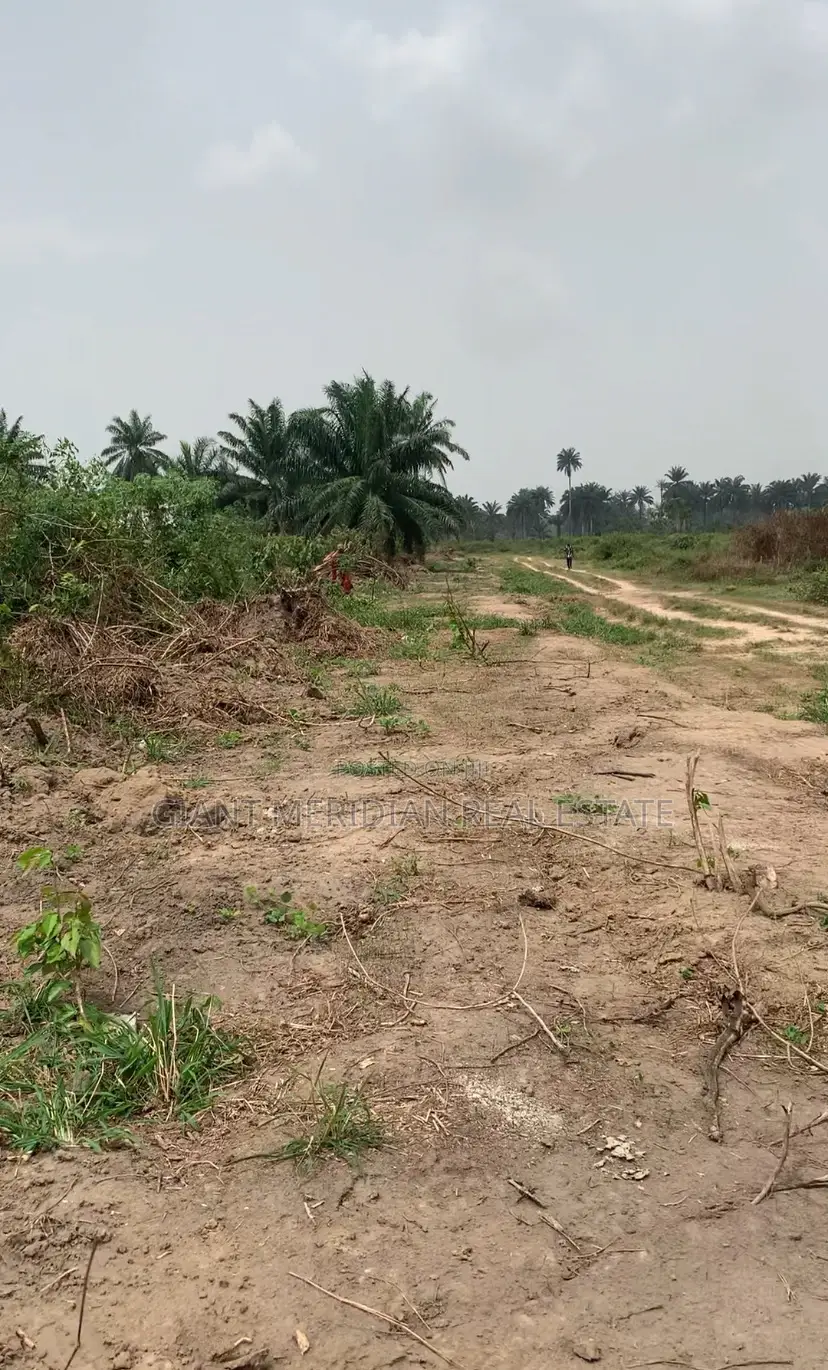 Verified Land for Sale – Igwurutali, Port Harcourt in Ikwerre